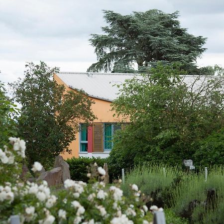 فندق Alfterفي  Alanus Gastehaus المظهر الخارجي الصورة